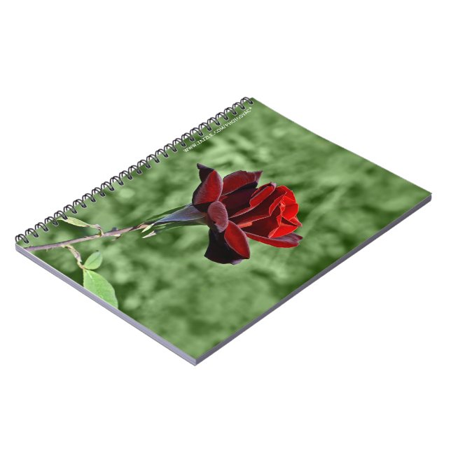 Espiral Caderno Rosa Vermelha (Left Side)