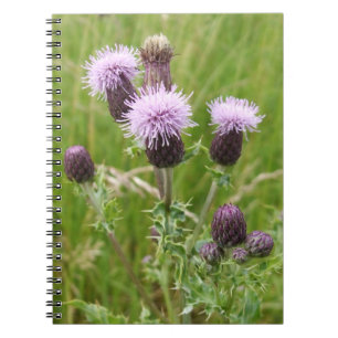Espiral Caderno roxo do cardo