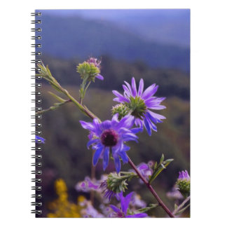 Espiral Caderno selvagem dos ásteres