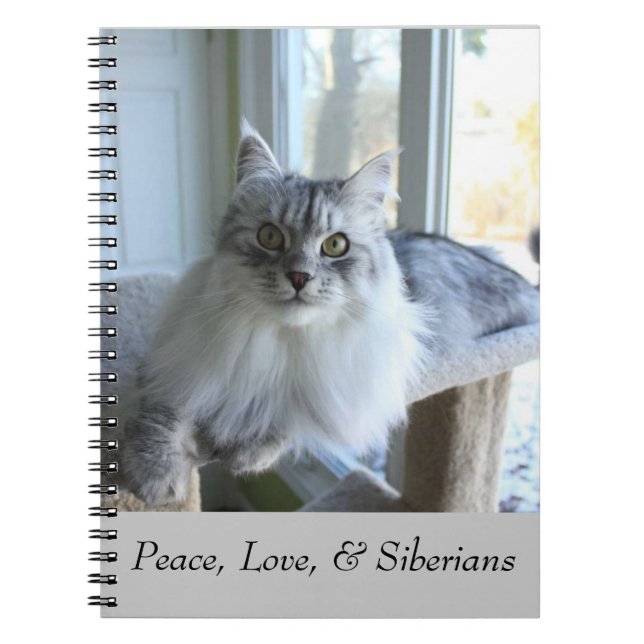 Espiral Caderno Siberian do gato (Frente)