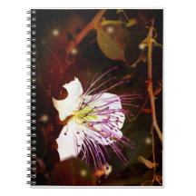 Caderno Sonhador Vintage Palestina Flor de Alcapar