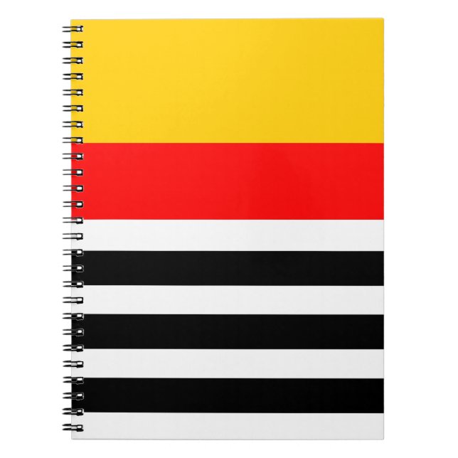 Espiral Caderno Spanish Stripe Classic (Frente)