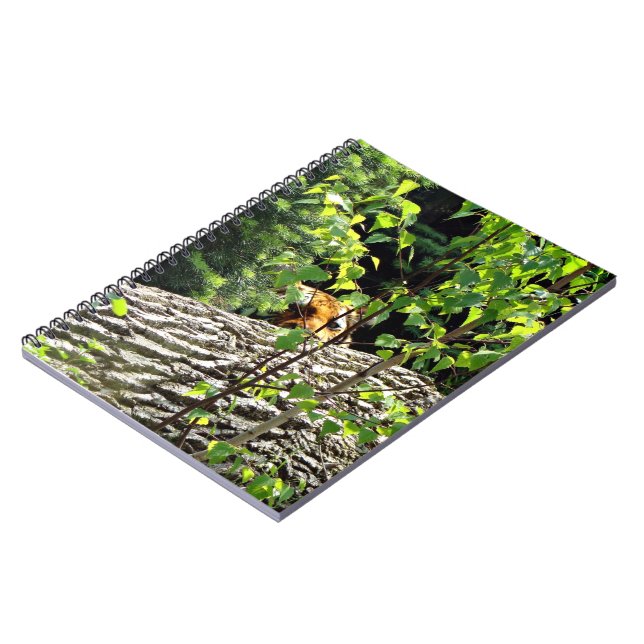 Espiral Caderno Tiger Peek-a-boo (Left Side)