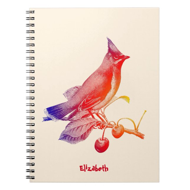 Espiral Caderno transparente do pássaro do Waxwing de (Frente)