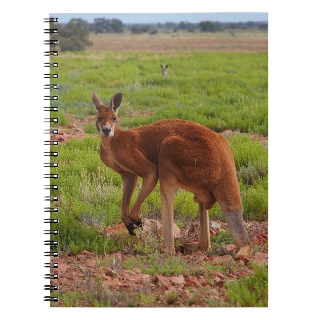 Espiral Caderno vermelho australiano do canguru (Frente)