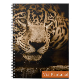 Espiral Caderno Via Pantanal Onça