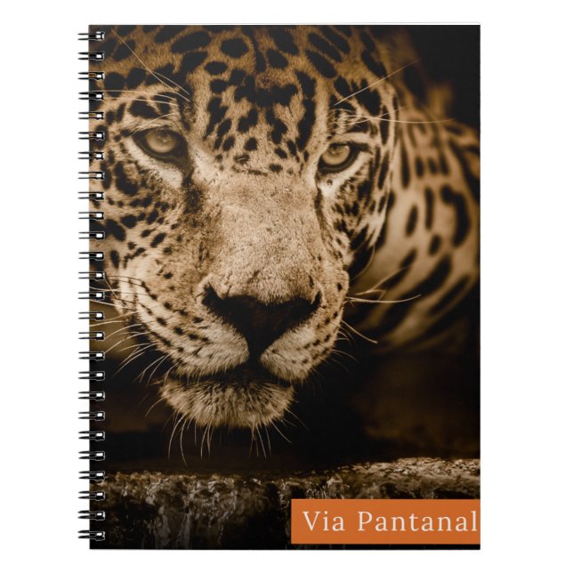 Espiral Caderno Via Pantanal Onça (Frente)