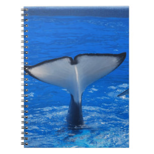 Espiral Cauda de um caderno da baleia