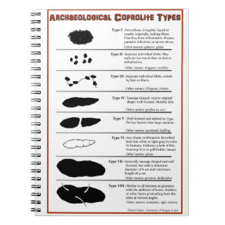 Espiral Coprolite Archaeological datilografa o caderno