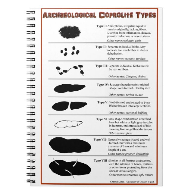 Espiral Coprolite Archaeological datilografa o caderno (Frente)