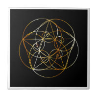 Espiral de Fibonacci a geometria sagrado