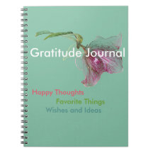 Diário da gratitude do caderno