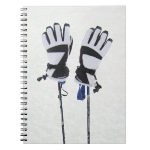 Espiral Esqui pólos e caderno das luvas