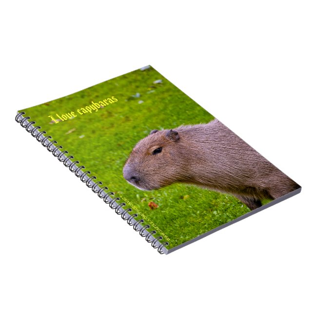Espiral Eu amo o Caderno dos capivaras (Lado Direito)