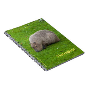 Espiral Eu amo o Caderno dos capivaras