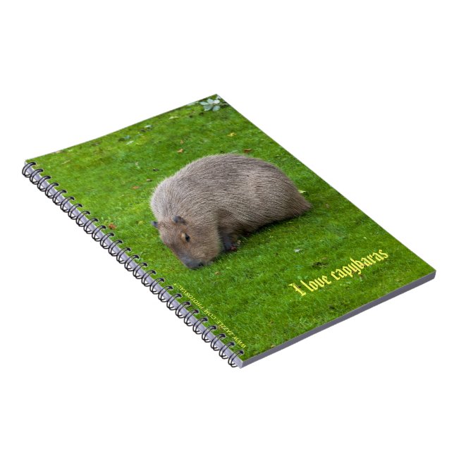 Espiral Eu amo o Caderno dos capivaras (Lado Direito)