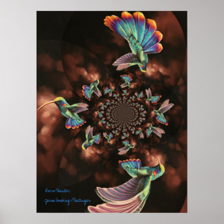 Espiral Hummingbird Poster
