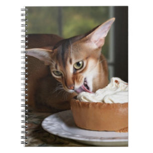 Espiral Indulgência Silenciosa – Caderno de Gato Elegante