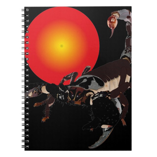 Espiral Lacrau caderno (Frente)