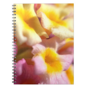 Espiral Lantana florela caderno