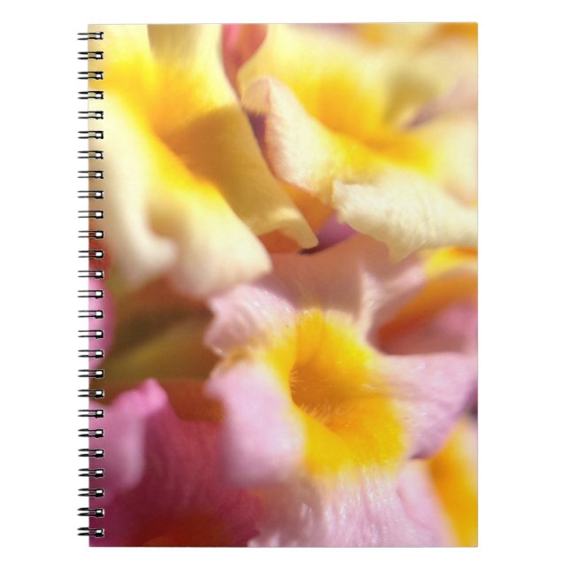 Espiral Lantana florela caderno (Frente)