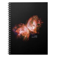 LIVRO UM DAS REALIDADES DE MING: CADERNO DA