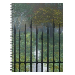 Espiral No caderno velho da floresta