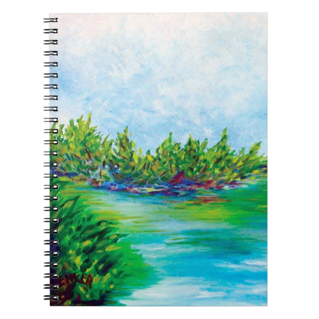 Espiral O CADERNO do lago (Frente)