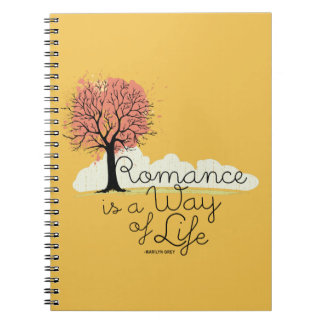 Espiral O romance é um caderno do modo de vida