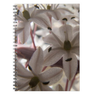 Espiral O rosa floresce o caderno