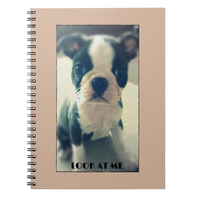 Espiral Olhe-me caderno bonito do cão (Frente)