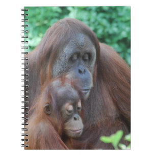 Espiral Orangotango do bebê com caderno da mãe