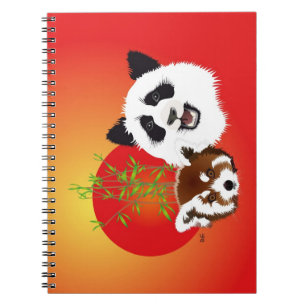 Espiral Panda encontro caderno