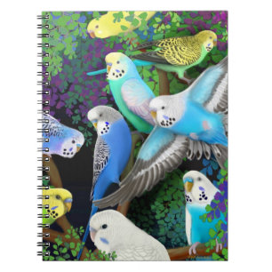 Espiral Papagaios do Budgerigar no caderno das samambaias