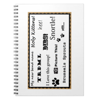 Espiral Represente isto! caderno