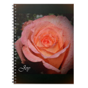 Espiral Rosa do caderno da alegria