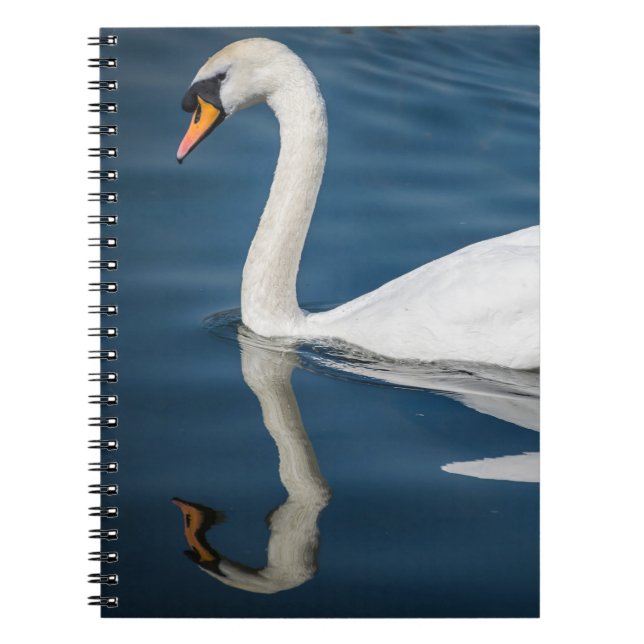Espiral Uma cisne e seu caderno da reflexão (Frente)