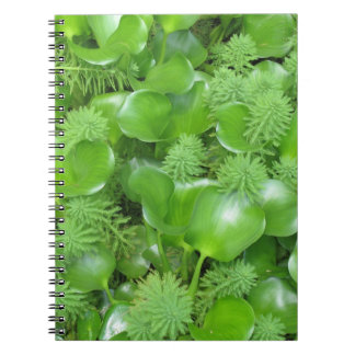 Espiral Verde no caderno verde