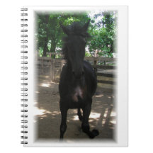 "Wild Mintaka!" Caderno