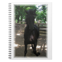 Espiral "Wild Mintaka!" Caderno