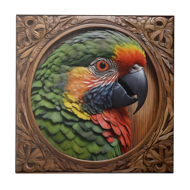 Espírito Australiano: Um Lorikeet Empoleirado Em M (Frente)