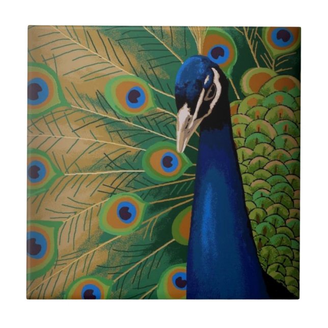 ESPÍRITO DA BELEZA (Frente)