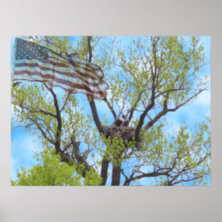 Espírito da Liberdade - Poster