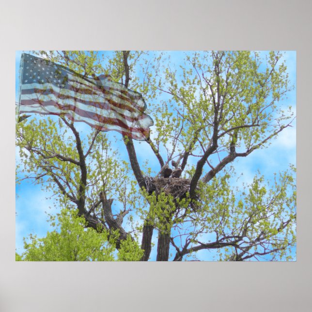 Espírito da Liberdade - Poster (Frente)