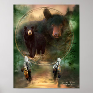 Espírito Da Série Dream Catcher Da Poster Do Urso