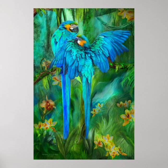 Espíritos trópicos - Poster de Arte de Macaws Dour (Frente)