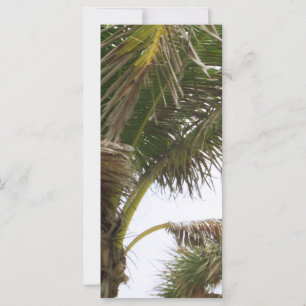 Esplendor tropical