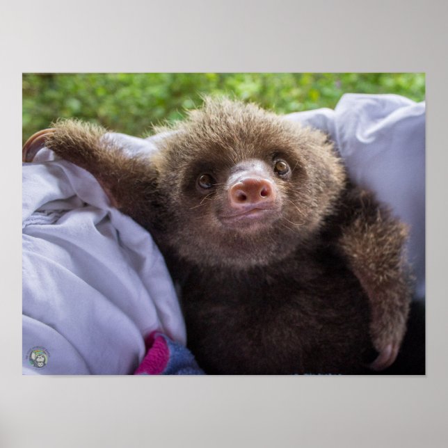 Espresso Poster (Frente)