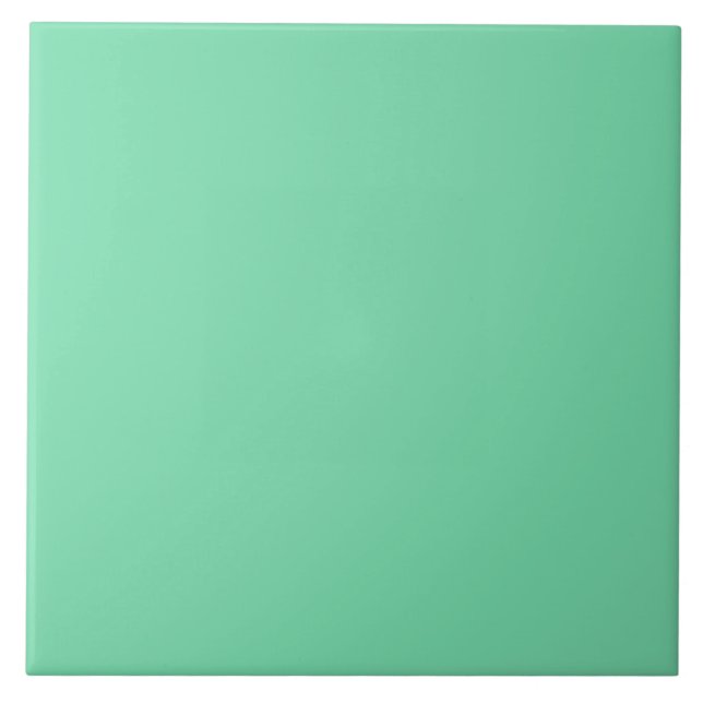 ESPUMA MARINHA VERDE (cor sólida) ~ (Frente)