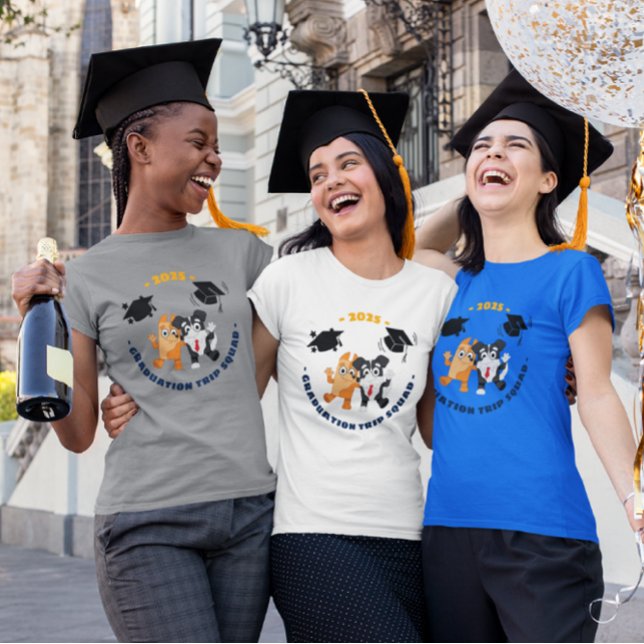 Esquadra de Estágios 2025 (Criador carregado)